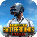 pubg地铁逃生国际服官网下载-pubg地铁逃生国际服下载最新版本v3.5.0